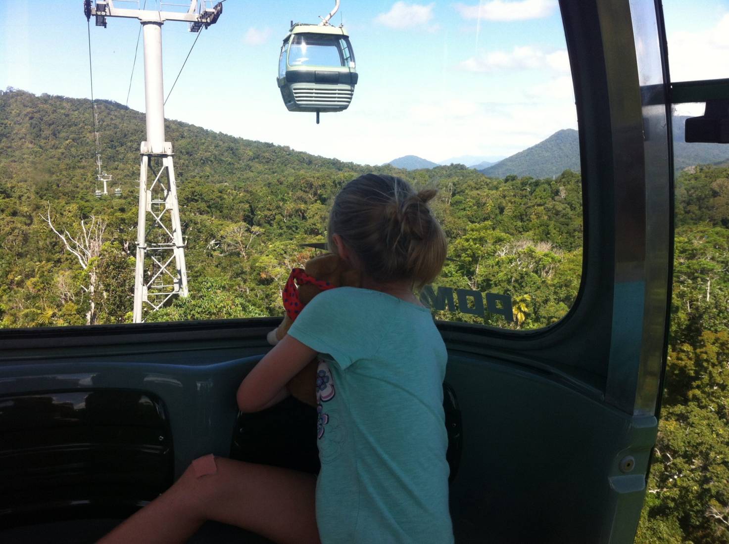 Soaring high on the Cairns Skyrail